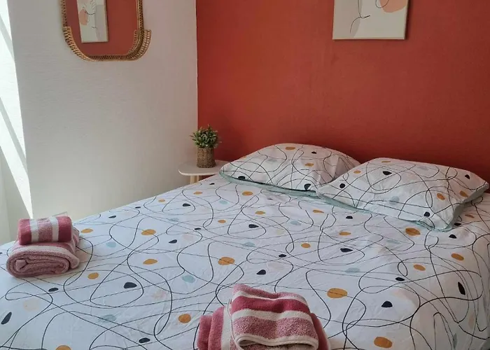 Appartement Centre D\'Orleans En Bord De Loire