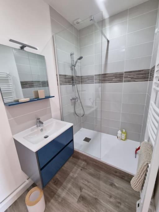 Centre D'orleans En Bord De Loire Apartment Orleans