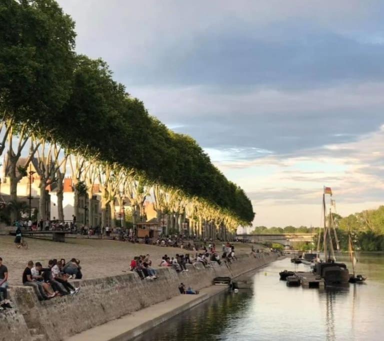 Apartment Centre D'orleans En Bord De Loire