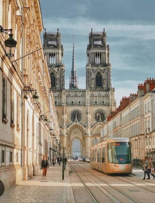 Apartment Centre D'orleans En Bord De Loire Orleans