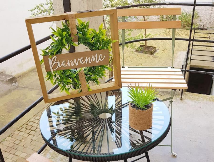 Apartment Centre D'orleans En Bord De Loire