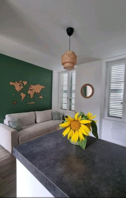 Centre D'orleans En Bord De Loire Apartment *