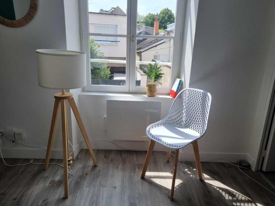 Apartment Centre D'orleans En Bord De Loire Orleans