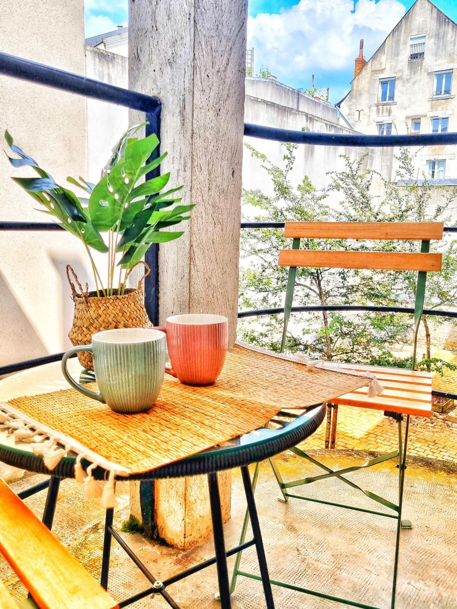 Apartment Centre D'orleans En Bord De Loire Orleans